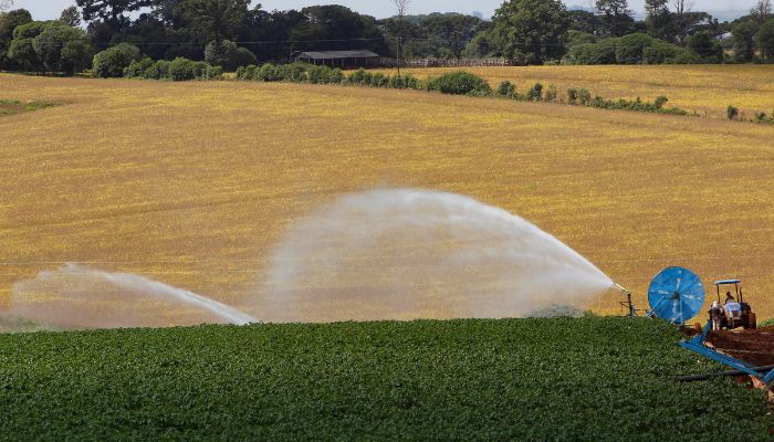  BRDE injeta R$ 133,4 milhões no desenvolvimento e sustentabilidade no campo em 2025